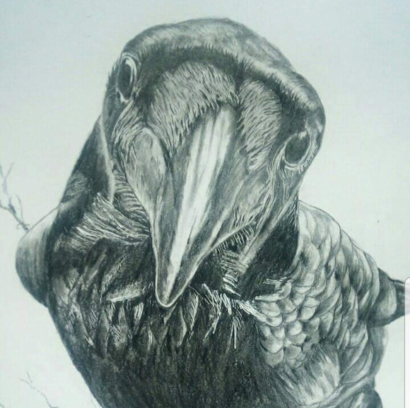 skeletonman52
